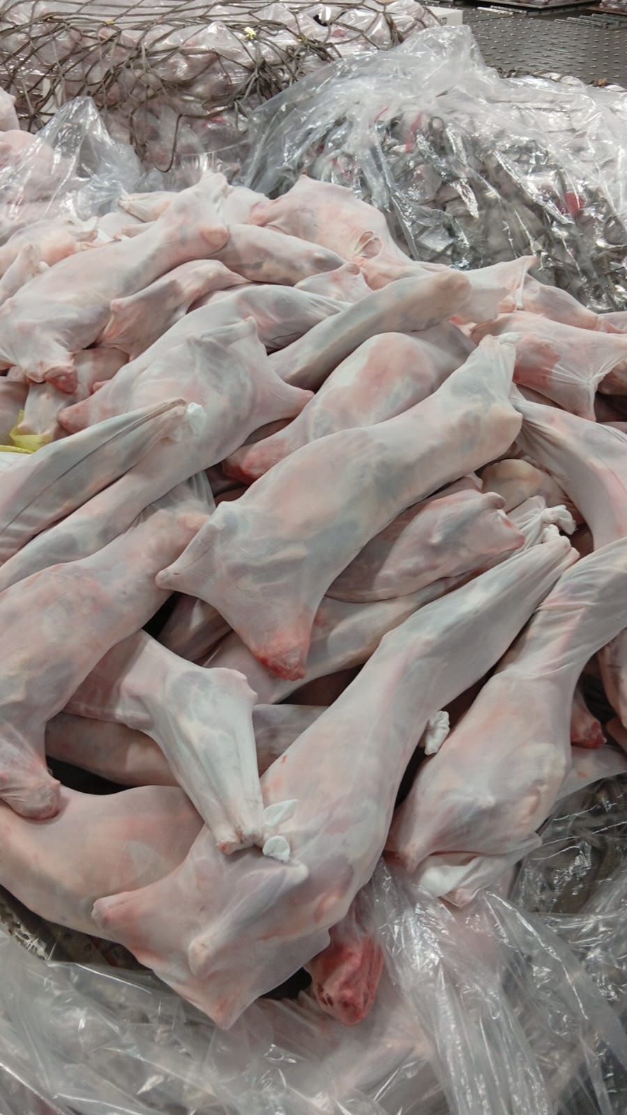 Chilled Beef Carcasses