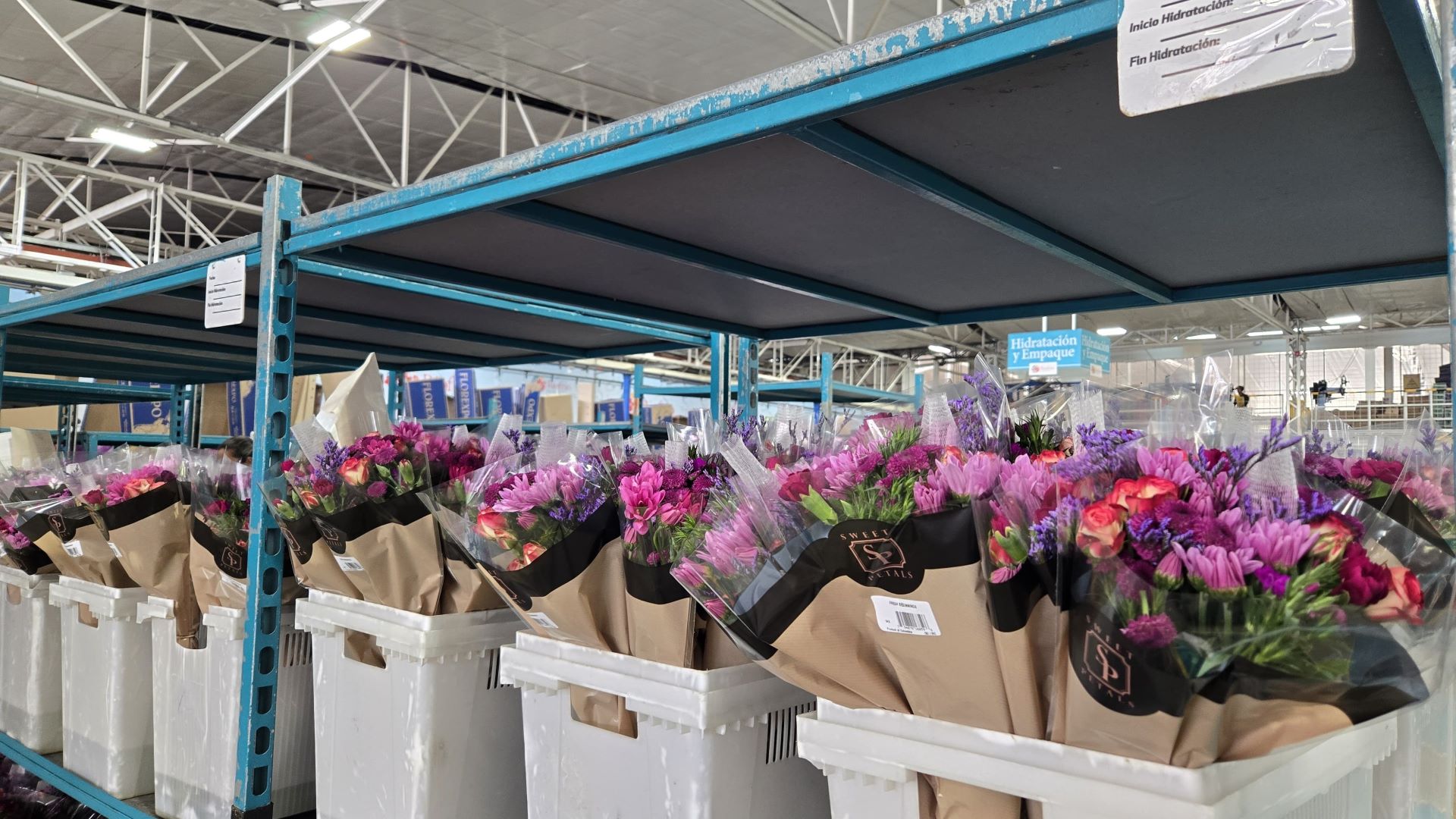 Fresh Cut Flowers